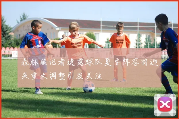 森林狼记者透露球队夏季阵容将迎来重大调整引发关注